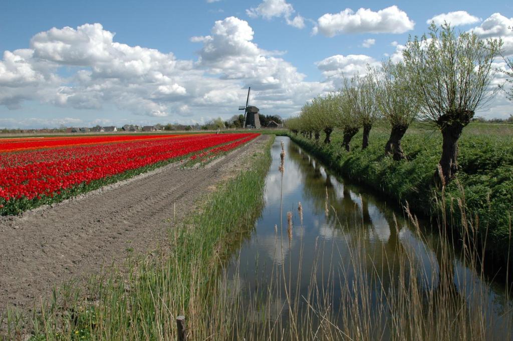 Restinn Warmenhuizen Extérieur photo